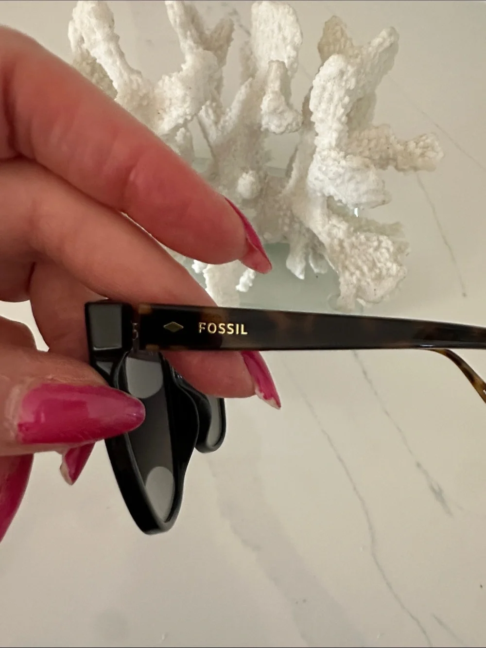 Fossil cat eye